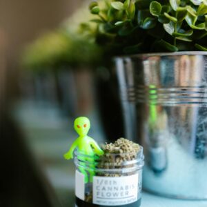 Alien Figurine in Glass Jar with Marijuana