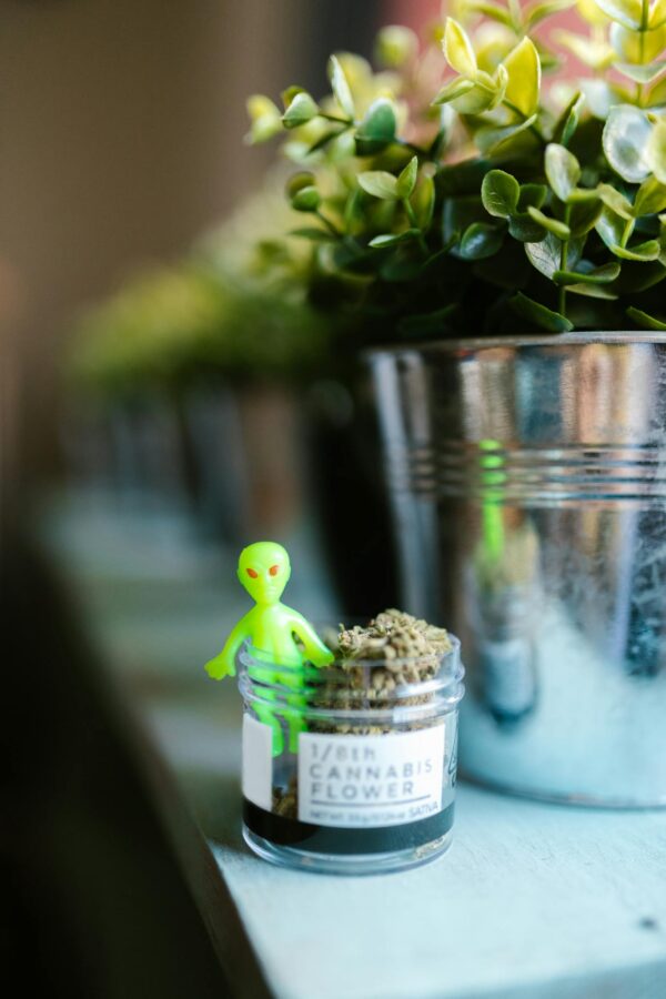 Alien Figurine in Glass Jar with Marijuana